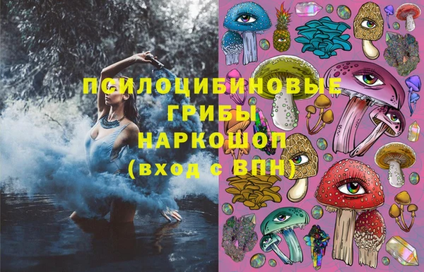 СК Алексеевка